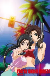 Вы арестованы OVA-2