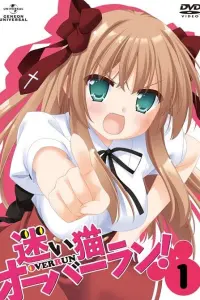 Нашествие бродячих кошек! Спецвыпуски