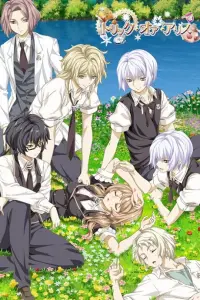 Кошелёк или Алиса