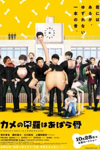 Панцирь черепахи — это рёбра человека