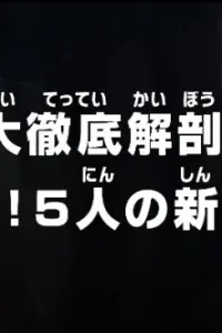 Ван-Пис: Жестокая битва! Пятёрка нового поколения