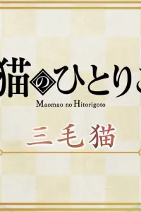 Монолог Маомао 2